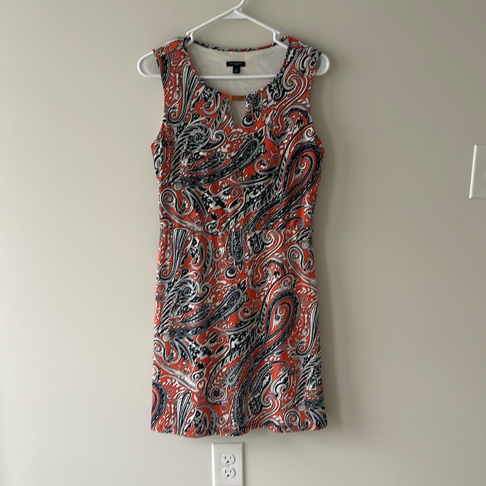Ann Taylor Presley dress 6